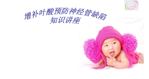 叶酸培训课件.ppt