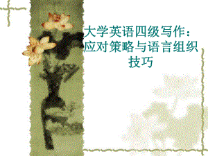 大学英语四级写作.ppt