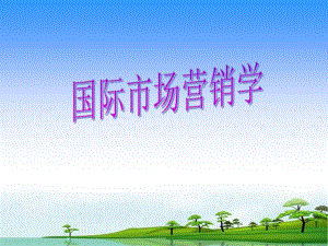 国际市场营销学2.ppt