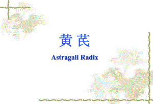 培训课件黄芪.ppt