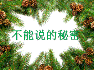 大学计算机ppt作业.ppt