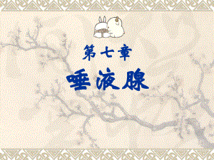 口腔解剖生理学唾液腺.ppt