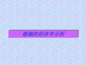 婚姻经济学分析.ppt