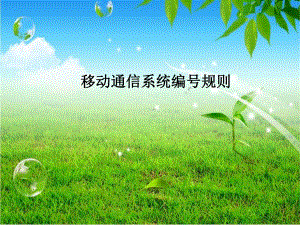 移动通信系统的编号规则.ppt