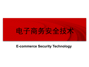 7电子商务安全技术.ppt
