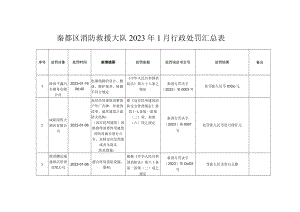 秦都区消防救援大队2023年1月行政处罚汇总表.docx