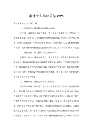 审计个人单位总结2023.docx