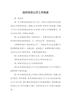 政府信息公开工作制度.docx