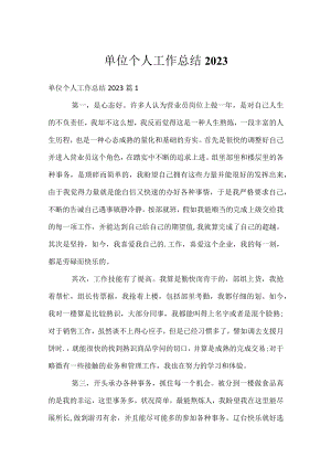 单位个人工作总结2023.docx