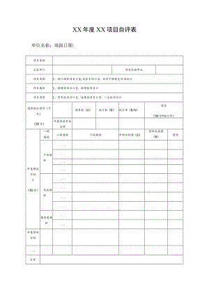 年度项目自评表.docx