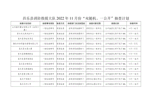 昌乐县消防救援大队2022年11月份“双随机、一公开”抽查计划.docx