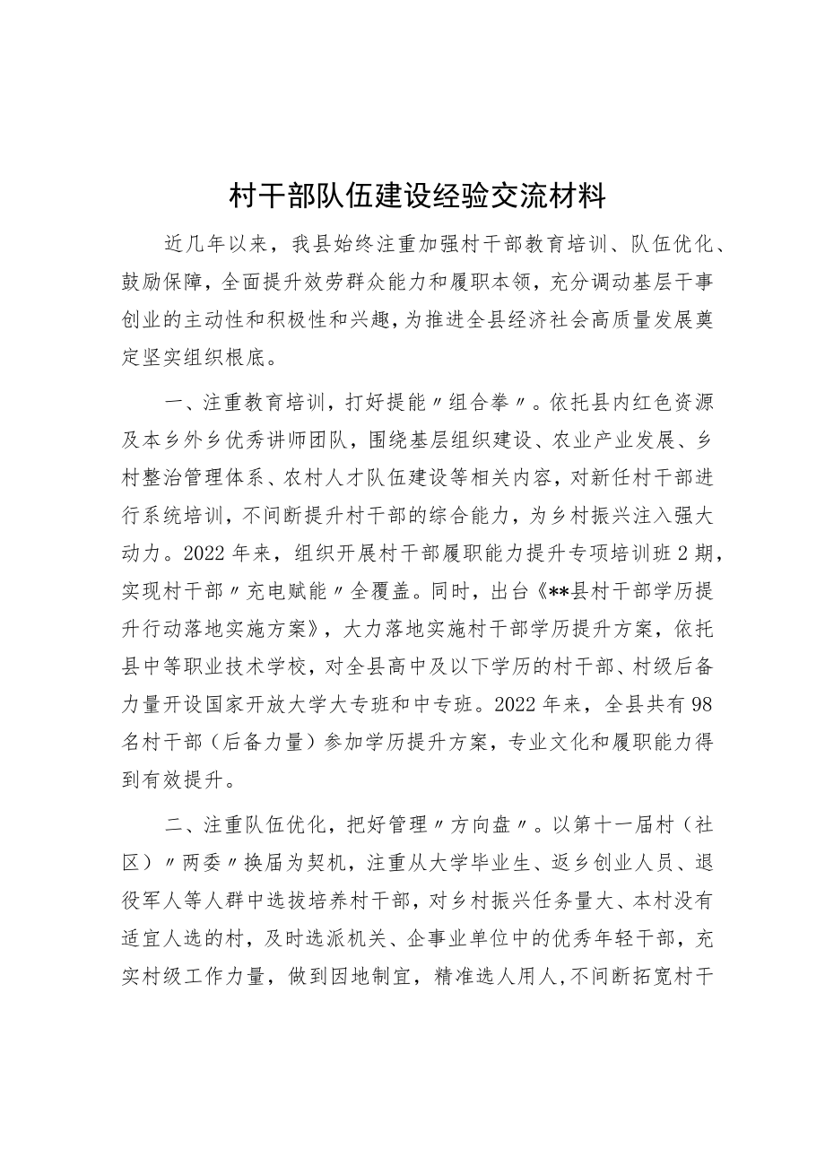 村干部队伍建设经验交流材料.docx_第1页