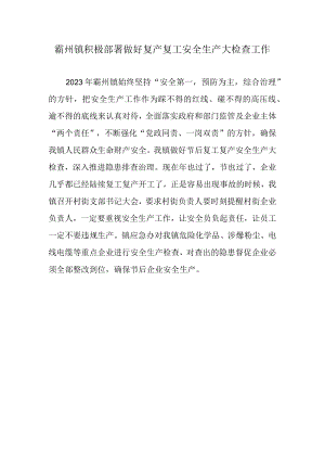 霸州镇积极部署做好复产复工安全生产大检查工作.docx