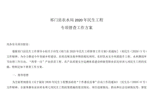祁门县农水局2020年民生工程专项督查工作方案.docx