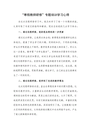 2023年某某中小学教师寒假网络研修培训专题心得体会范本【5篇】.docx