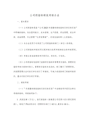 公司级指标绩效考核办法.docx