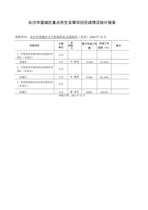 长沙市望城区重点民生实事项目完成情况统计报表.docx