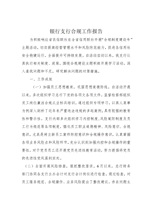 银行支行合规工作报告.docx