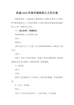 街道2023年春节森林防火工作方案.docx