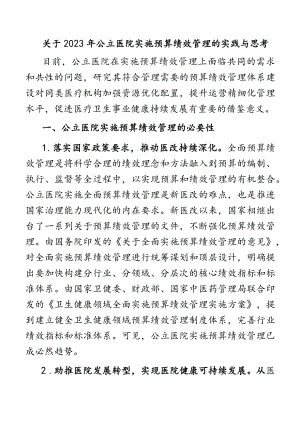 关于2023年公立医院实施预算绩效管理的实践与思考.docx