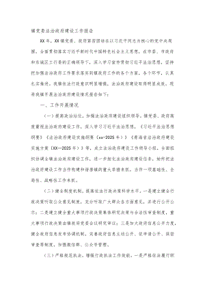 镇党委法治政府建设工作报告.docx