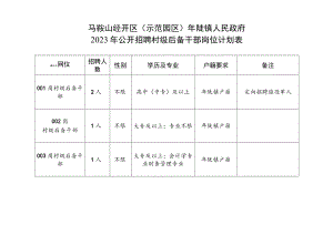 马鞍山经开区示范园区年陡镇人民政府2023年公开招聘村级后备干部岗位计划表.docx