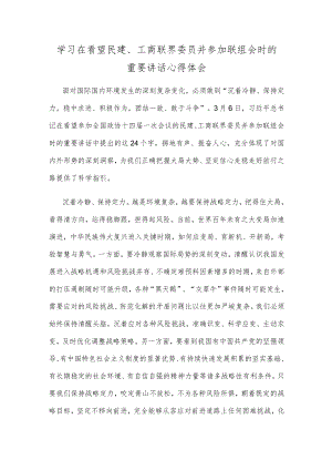 学习在看望民建、工商联界委员并参加联组会时的重要讲话心得体会.docx