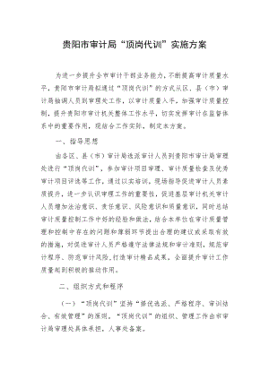 贵阳市审计局“顶岗代训”实施方案.docx