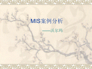 MIS案例分析.ppt