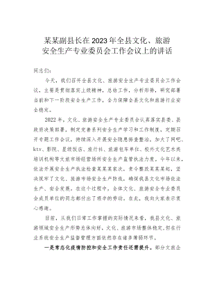 某某副县长在2023年全县文化、旅游安全生产专业委员会工作会议上的讲话.docx