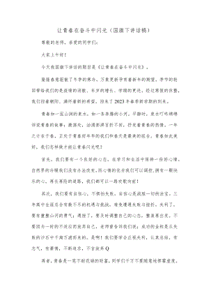 让青春在奋斗中闪光（国旗下讲话稿）.docx