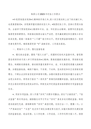 集团公司2023年纪检工作要点.docx