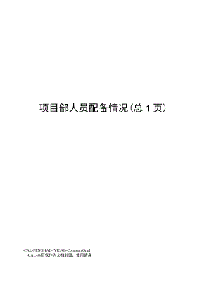 项目部人员配备情况.docx