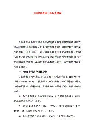 公司财务费用分析报告模板.docx