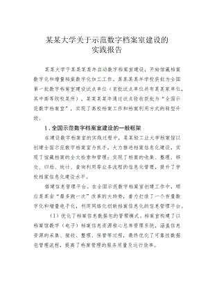 某某大学关于示范数字档案室建设的实践报告.docx