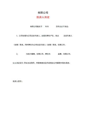 公司投资人决定模板.docx