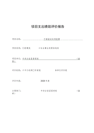 项目支出绩效评价报告.docx