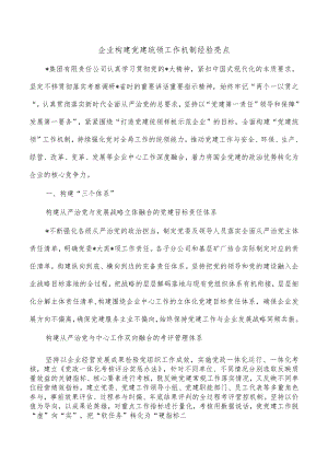 企业构建党建统领工作机制经验亮点.docx