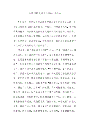 学习2023政府工作报告心得体会2篇.docx
