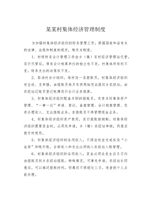 某某村集体经济管理制度.docx
