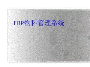 ERP物料管理系统.ppt