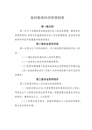 某村集体经济管理制度.docx