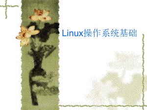 Linux+操作系统基础.ppt