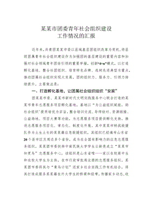 某某市团委青年社会组织建设工作情况的汇报.docx