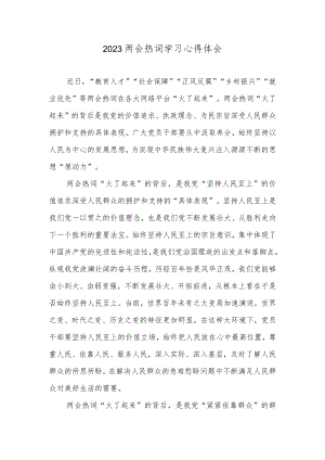 2023两会热词学习心得体会.docx