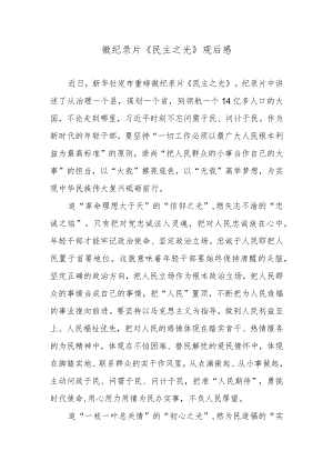 微纪录片《民主之光》观后感.docx