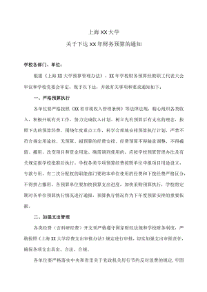上海XX大学关于下达XX年财务预算的通知.docx