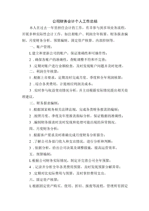 公司财务会计个人工作总结.docx