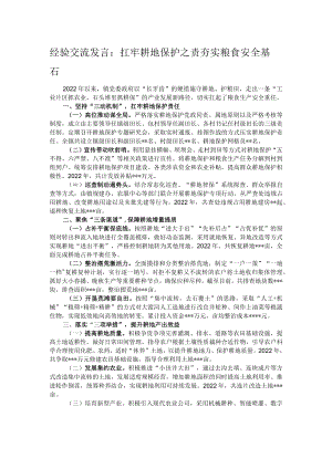 经验交流发言：扛牢耕地保护之责 夯实粮食安全基石.docx