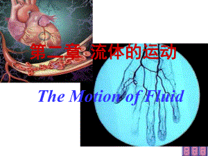 《医学物理学》课件流体的运动.ppt
